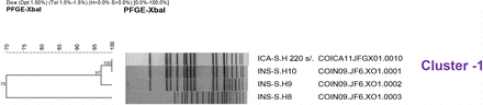 Figure 3b.