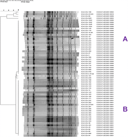 Figure 1a.