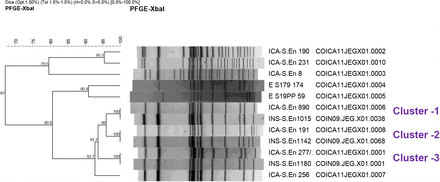 Figure 1b.