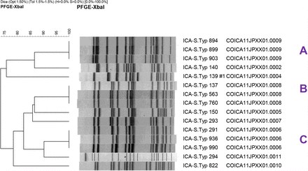 Figure 2a.