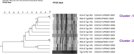 Figure 2b.
