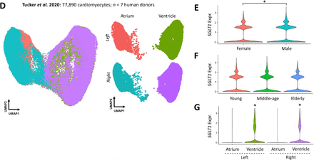 Figure 2: