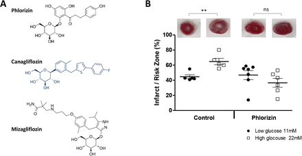 Figure 4: