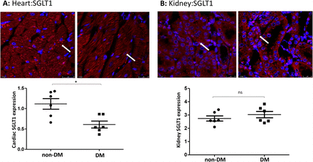 Figure 5: