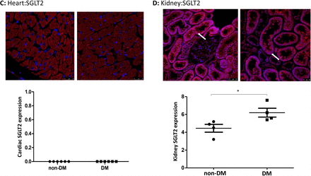 Figure 5: