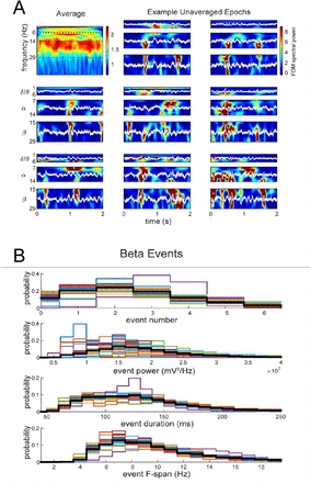 Figure 4: