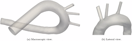 Figure 1: