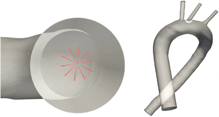 Figure 10: