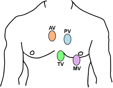 Fig 1.
