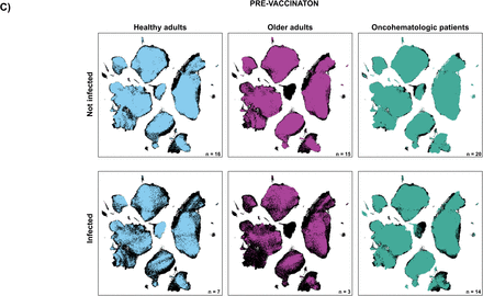 Figure 6: