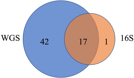 Figure 7.