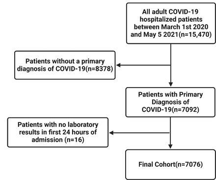 Figure 1: