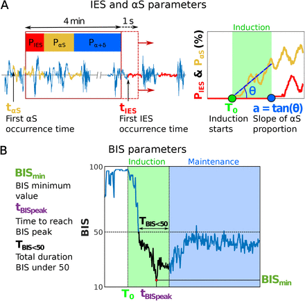Figure 1: