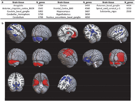 Figure 1: