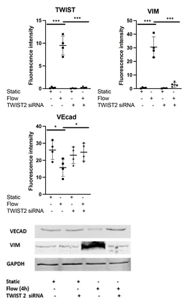 Figure. 1.