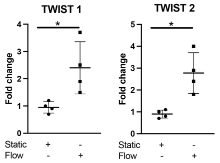 Figure. 1.