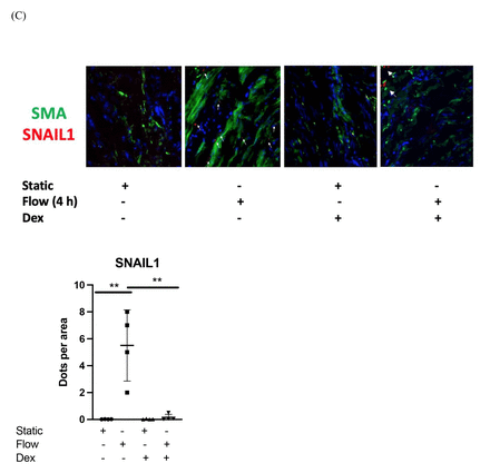 Supp Figure. 3.