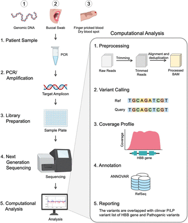 Figure 1:
