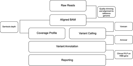 Figure 5: