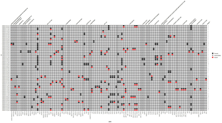 Figure 3: