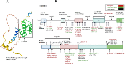 Fig 2.