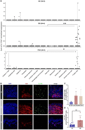 Fig 2: