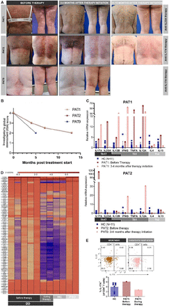 Fig 3: