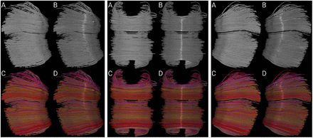 Figure 7.