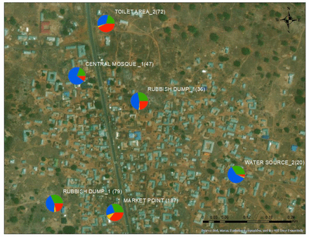 Figure 5: