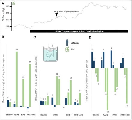 Figure 3: