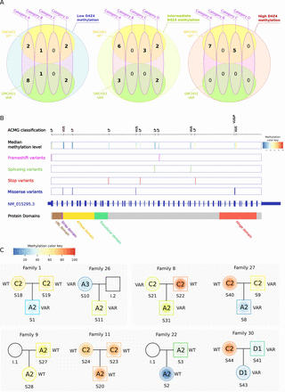 Figure 6.
