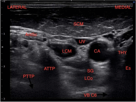 Figure 1: