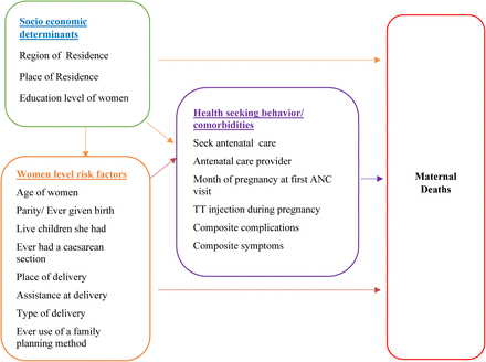 Figure 1: