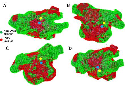 Figure 5A-D