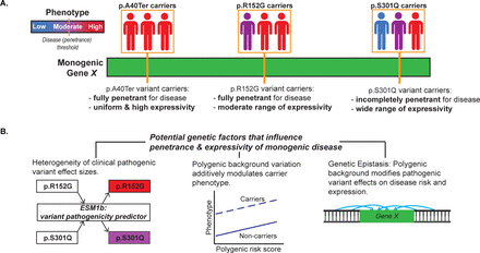 Figure 1: