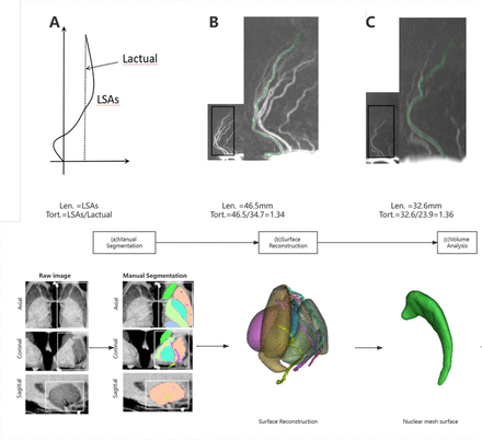 Fig.1