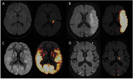 Figure 3: