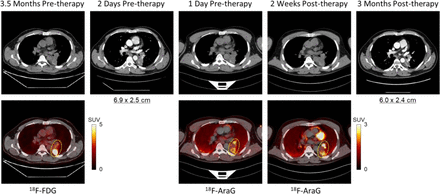 FIGURE 4.