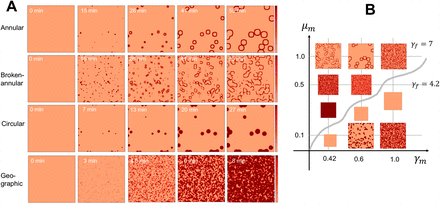 Figure 4: