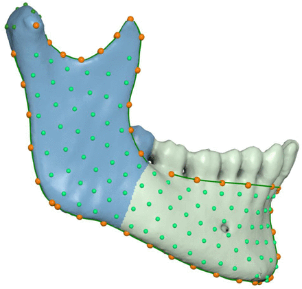 Supplementary Figure 2.