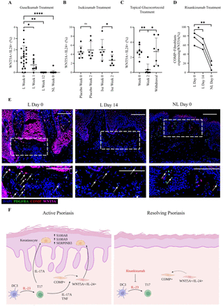 Fig. 6: