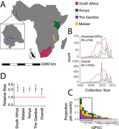 Figure 2: