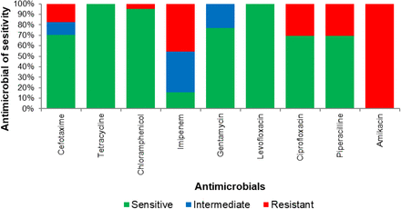 Figure 3: