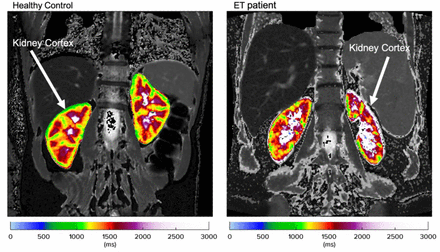Figure 2: