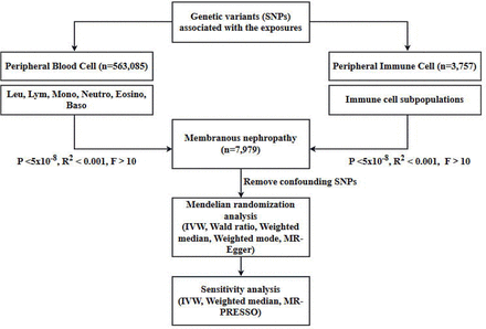 Figure 3: