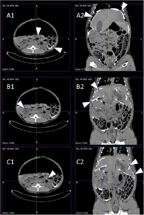 Figure 6: