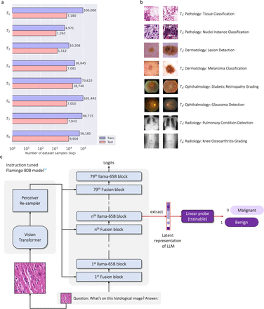 Figure 2: