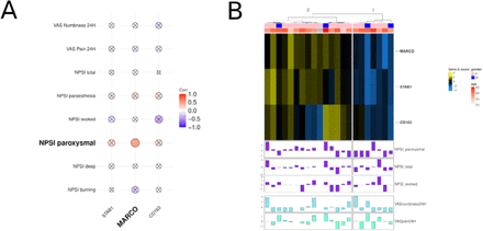 Figure 4: