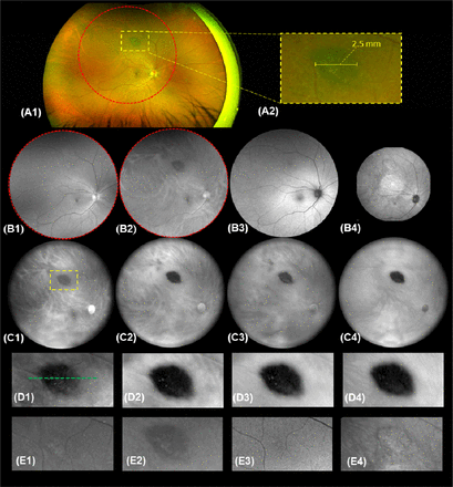 Figure 2.