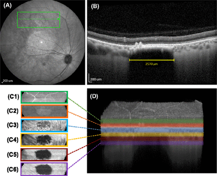 Figure 4.